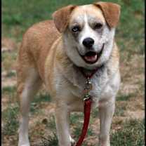 Thumbnail photo of Cinco #1