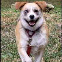 Thumbnail photo of Cinco #2