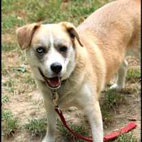 Thumbnail photo of Cinco #4