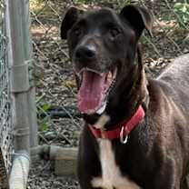 Thumbnail photo of Timothy #1