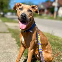 Thumbnail photo of Gurri #2