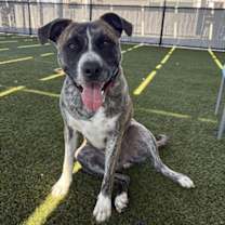 Thumbnail photo of Sam #3