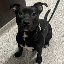 Thumbnail photo of Babybel #2