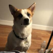 Thumbnail photo of Churry #2