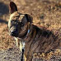 Thumbnail photo of Sydney #1