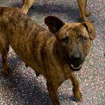 Thumbnail photo of Sydney #2