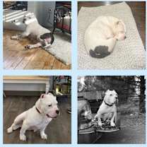 Thumbnail photo of Amazing Angel Lyn #3