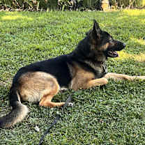 Thumbnail photo of MJ #1