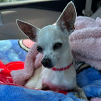 Thumbnail photo of Lady #1