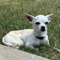 Thumbnail photo of Lady #2