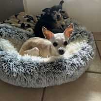 Thumbnail photo of Lady #3