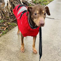 Thumbnail photo of Mila #4