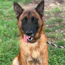 Thumbnail photo of JETT #1