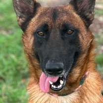 Thumbnail photo of JETT #2