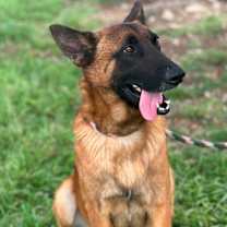 Thumbnail photo of JETT #3