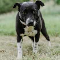 Thumbnail photo of Emma #3