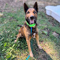 Thumbnail photo of Ghirardelli  #2