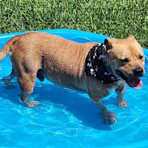 Thumbnail photo of buddy #2