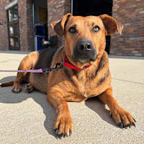 Thumbnail photo of Leala #3