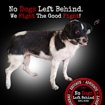 Thumbnail photo of Panda 4195 #1