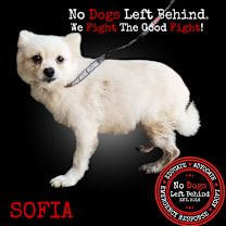 Thumbnail photo of Sofia 3925 #1