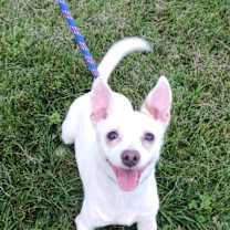 Thumbnail photo of Fiona #1