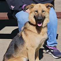 Thumbnail photo of Stella #4