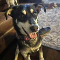 Thumbnail photo of 25-078 Bella #1