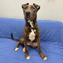 Thumbnail photo of Spritz #3