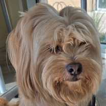 Thumbnail photo of Avis #2