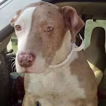 Thumbnail photo of Princess #1