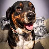 Thumbnail photo of Marco #2