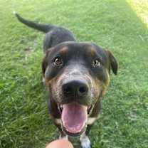 Thumbnail photo of Marco #3