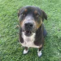 Thumbnail photo of Marco #4