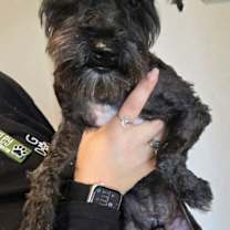 Thumbnail photo of Winston #1