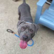 Thumbnail photo of Frank #1