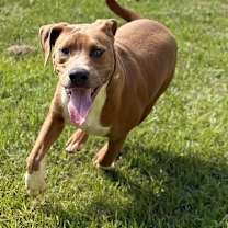 Thumbnail photo of Marshall 0867 #1