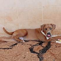 Thumbnail photo of Marshall 0867 #4