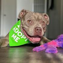 Thumbnail photo of Eddie #1