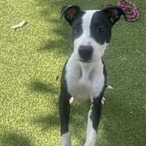 Thumbnail photo of Glitter #1