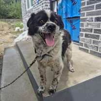 Thumbnail photo of Moongji #1