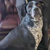 Thumbnail photo of Buchanan #3