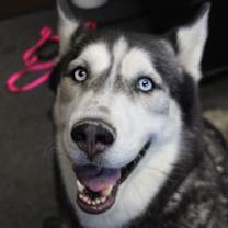 Thumbnail photo of Ashley #3