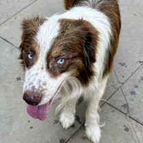 Thumbnail photo of Kash #3