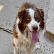 Thumbnail photo of Kash #1