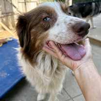 Thumbnail photo of Kash #2