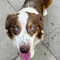 Thumbnail photo of Kash #3