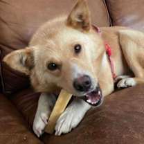 Thumbnail photo of Ginny #2