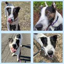 Thumbnail photo of Gretzky #2