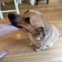 Thumbnail photo of Seymour #1